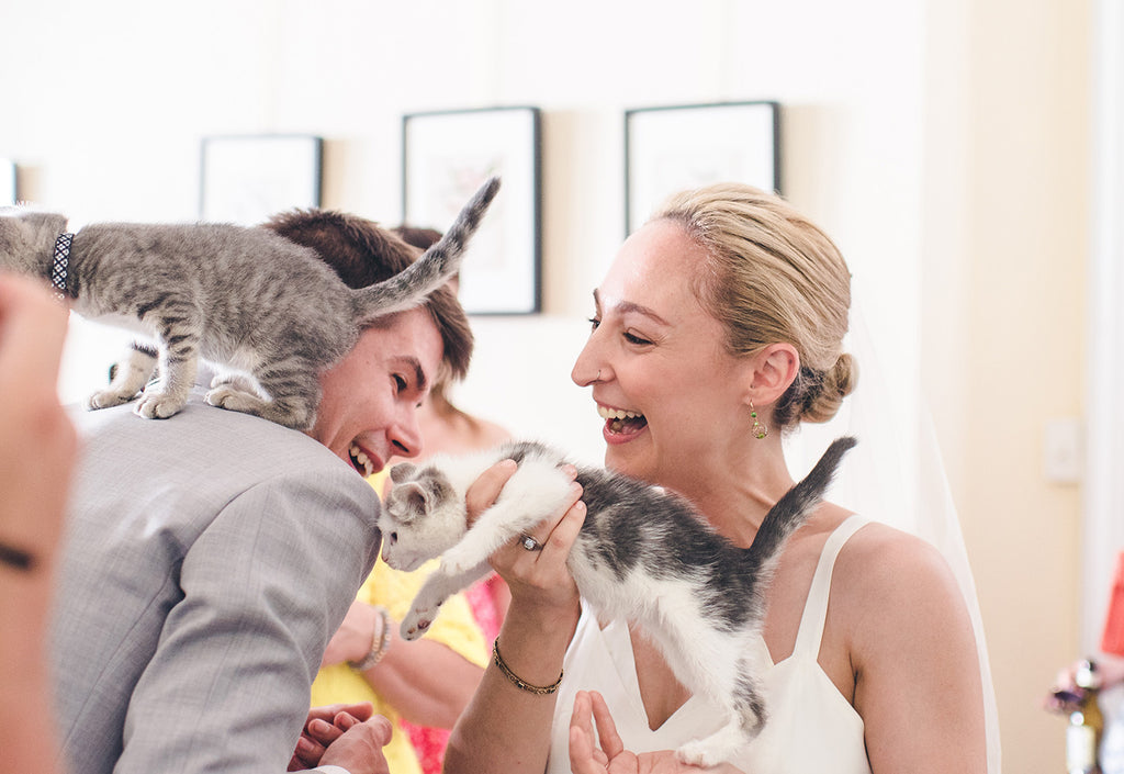 Rachel and Matthew - June Wedding at Awbury Arboretum | Kittens for Adoption | Tallulah Ketubahs