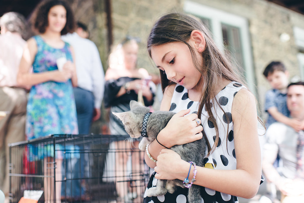 Rachel and Matthew - June Wedding at Awbury Arboretum | Kittens for Adoption | Tallulah Ketubahs