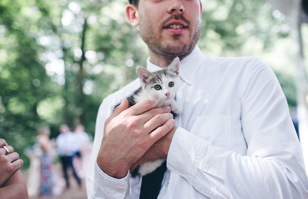 Rachel and Matthew - June Wedding at Awbury Arboretum | Kittens for Adoption | Tallulah Ketubahs