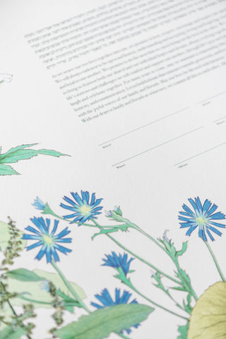 Milkweed Herbal Ketubah by Guest Artist Alyssa Dennis Detail | Tallulah Ketubahs