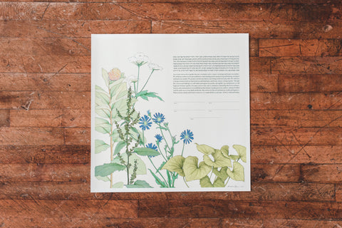 Milkweed Herbal Ketubah by Guest Artist Alyssa Dennis | Tallulah Ketubahs