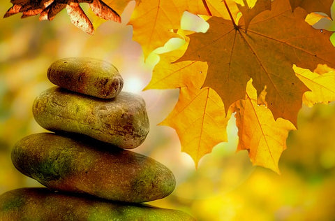 stones and autumn leaves balance