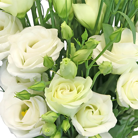 White Mini Lisianthus Wedding Flower Close Up - Image