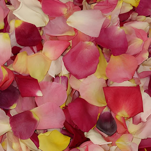Dried Real Rose Petals Mixed