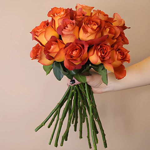 Terracotta Wholesale Rose Bunch in a hand