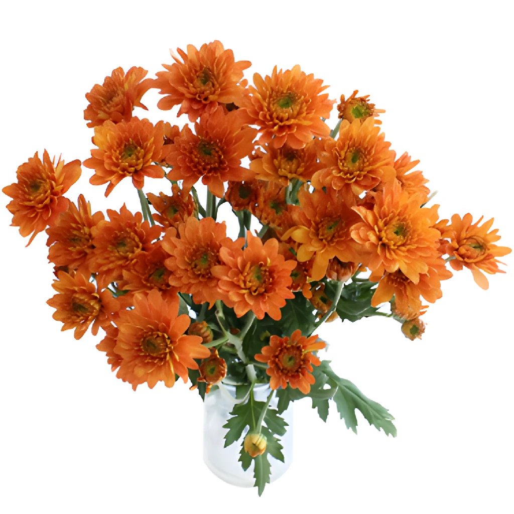Fall Orange Dahlia Style Cushion Flower