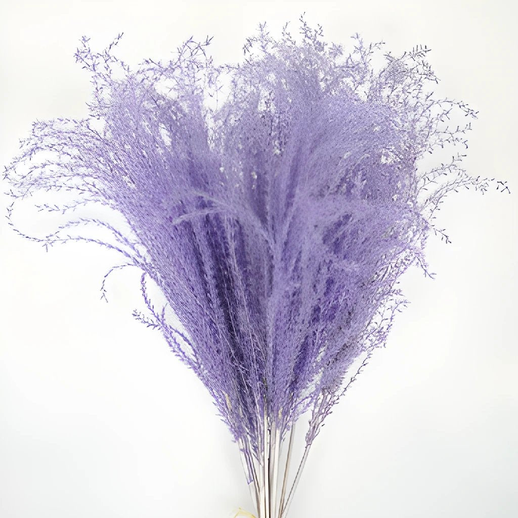 Lavender Dried Eulalia Grass