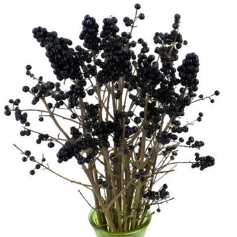 Wholesale greenery black pearl ligustrum berries filler flowers sold as bulk