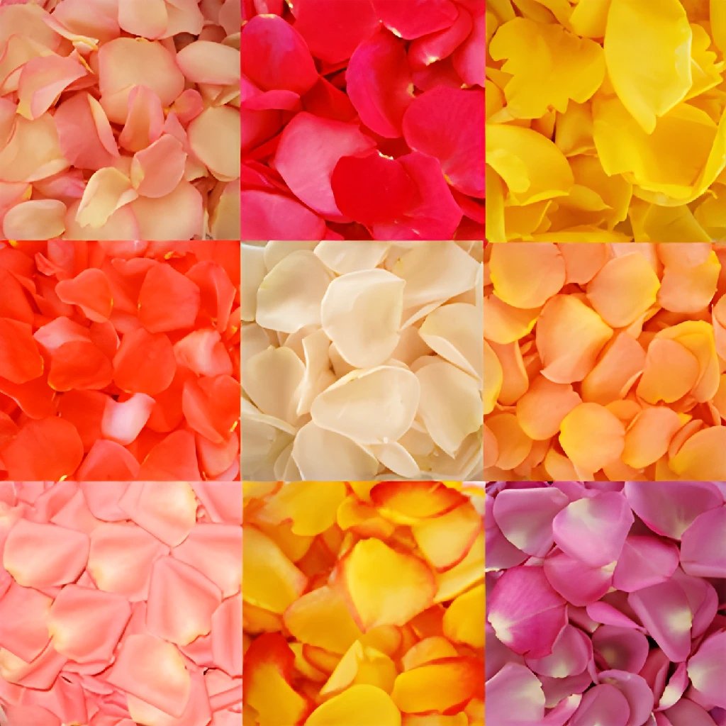 Choose Your Colors Rose Petals