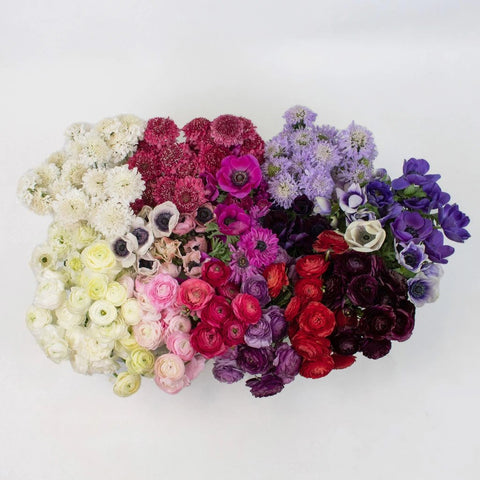 Delicate Multicolor DIY Flower Kit Up Close