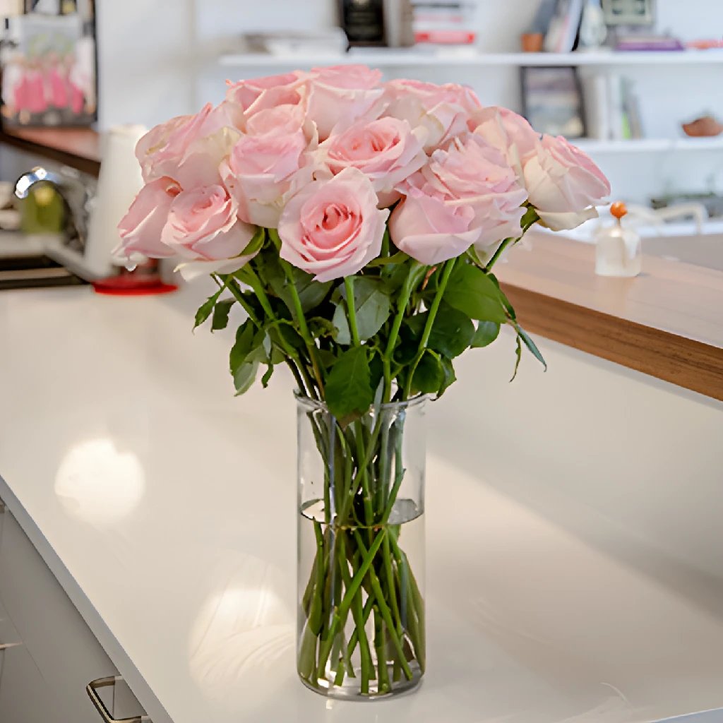 Fresh European Cut Light Pink Roses For Your House