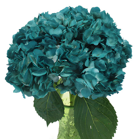 Aquamarine Blue Airbrushed Hydrangea Wholesale Flower in a Vase