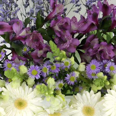 Monochromatic Purple DIY Flower Kit Up Close