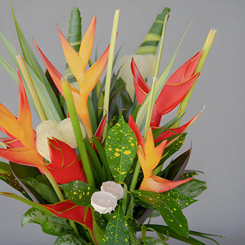 Red Heliconia Tropical DIY Flower Kit Up Close
