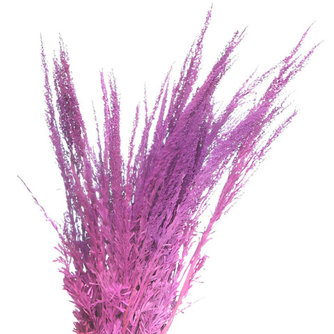 Violet Purple Airbrushed Sage