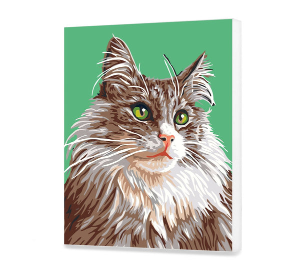 

Peinture par numéro Chaton Doux