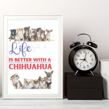 Life Is Better With A Chihuahua