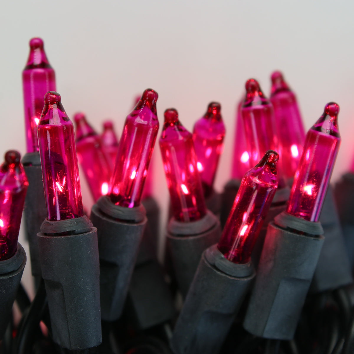 Pink Christmas Lights Best Selection! – Christmas Light Source