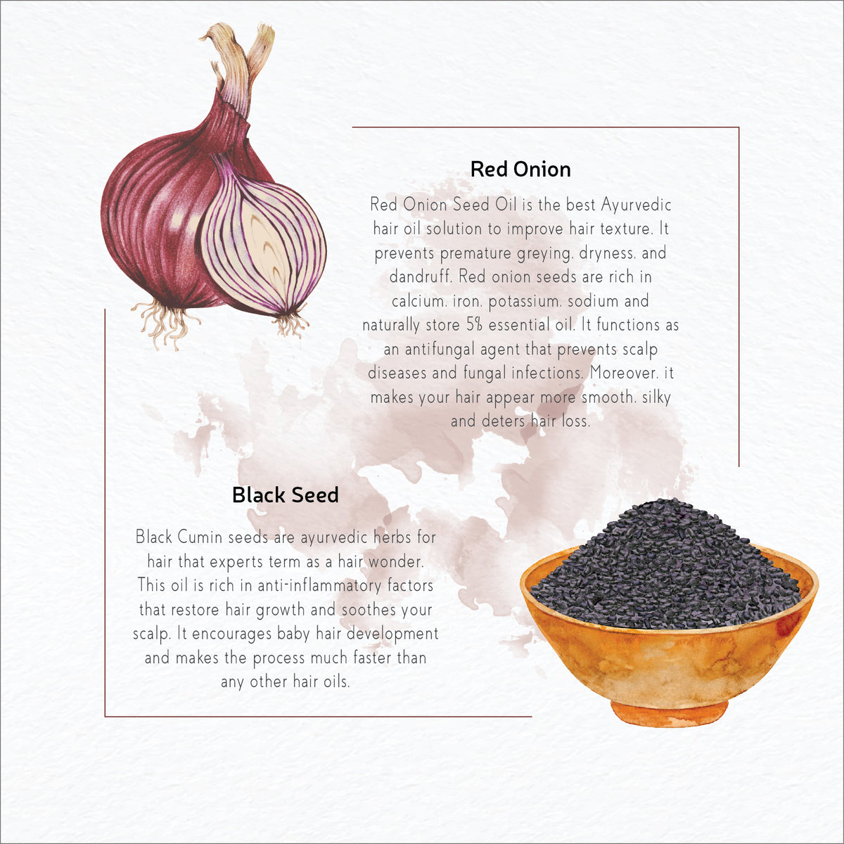 Red Onion Black Seed Hair Oil – 91ayurveda
