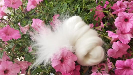 1lb Angora Rabbit combed top White SPECIAL ORDER