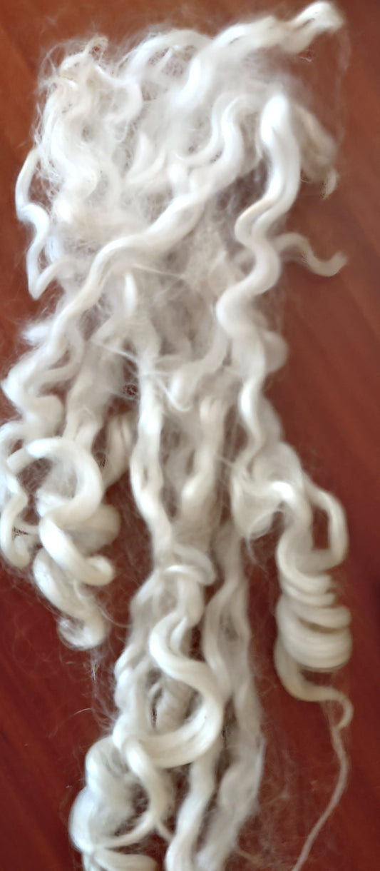 Wensyledale early  first clip raw lb excellent curl washes white
