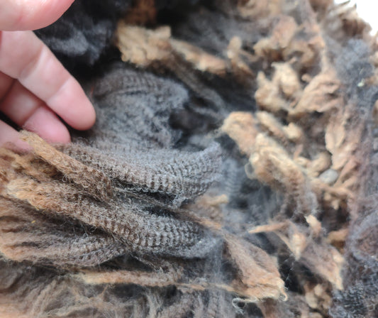 5 pound natural color merino raw fleece steel grey and more