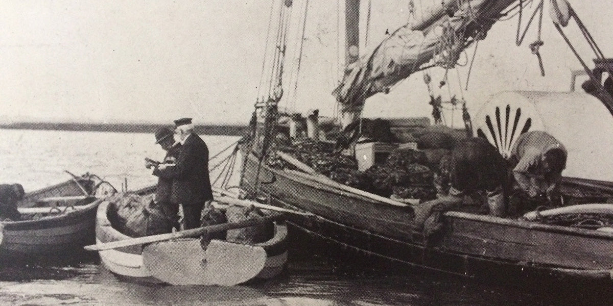 Oyster Transport