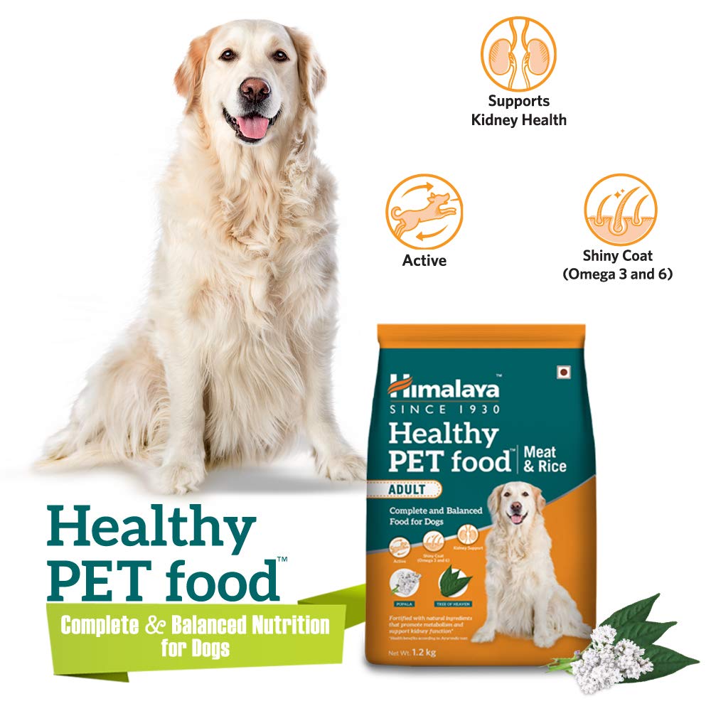 himalaya adult dog food