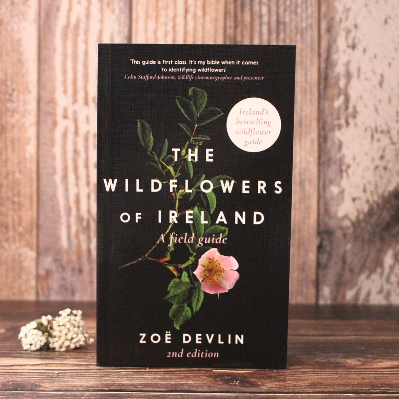 The Wildflowers of Ireland, Zoe Devlin with a FREE packet of Irish N