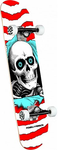 Complete Skateboards