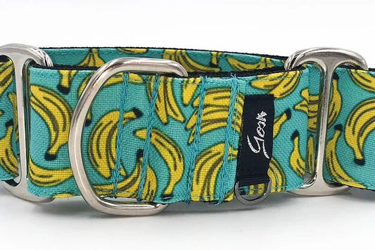 Gosk Collar Martingale Blue Banana