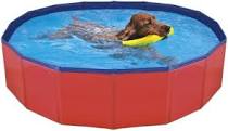 Piscina para perros