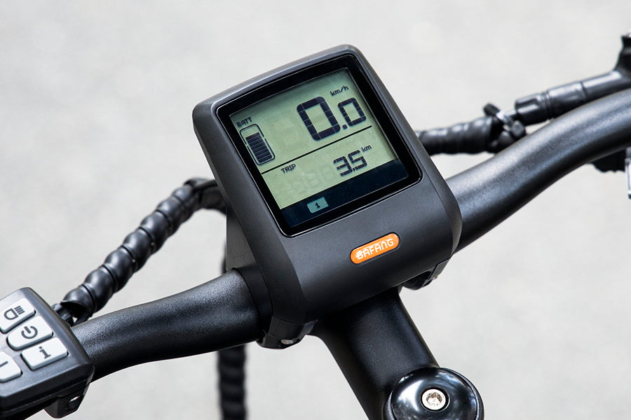 eskute Voyager Pro electric bike lcd display