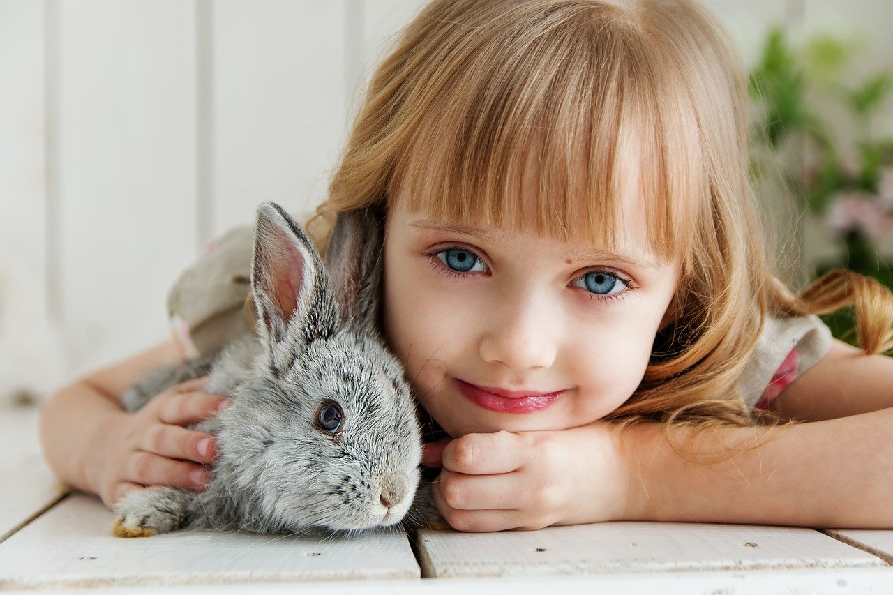 caring-for-domestic-baby-rabbits-time-for-paws