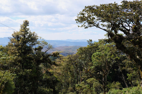 Nicaragua sourcing trip Canales Family