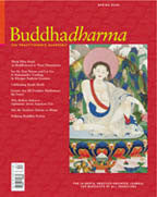 Buddhadharma - The Practitioner's Quarterly - Spring 2004