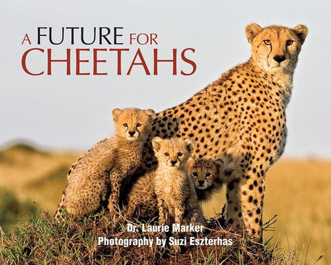 The Future of Cheetahs