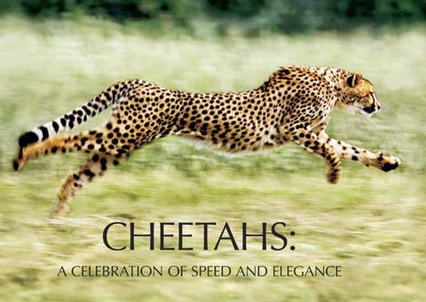 Cheetah Book by Laurie Marker and Suzi Eszterhas