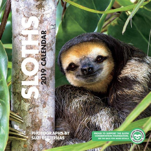 2019 Sloth Calendar 