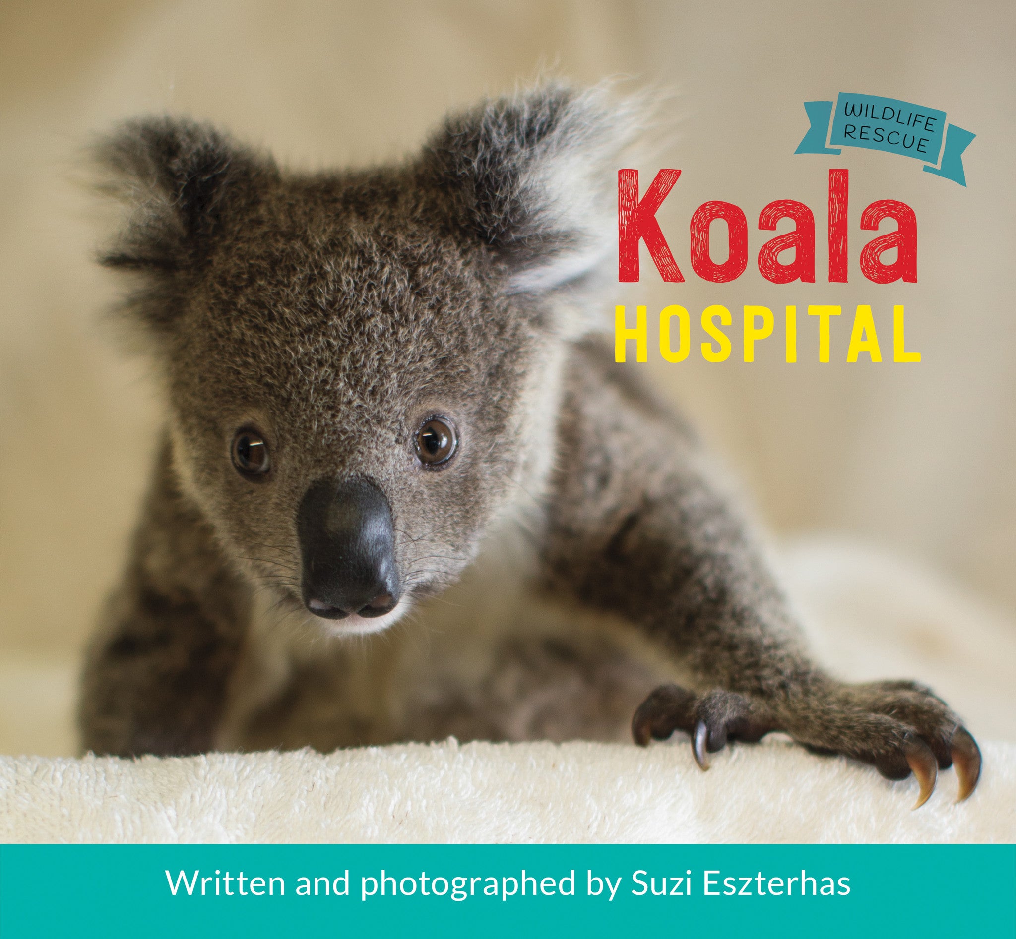 Children's Book, "Wildlife Rescue Series" ⎯ Koala Hospital | Baby