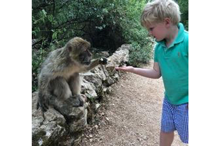 Hillary McCoy's child with monkey