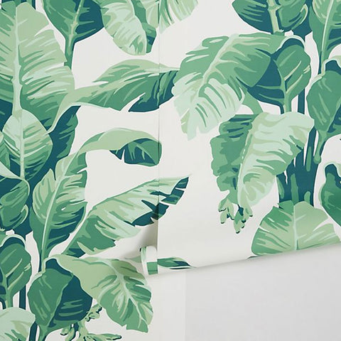 Tropical home decor wall paper