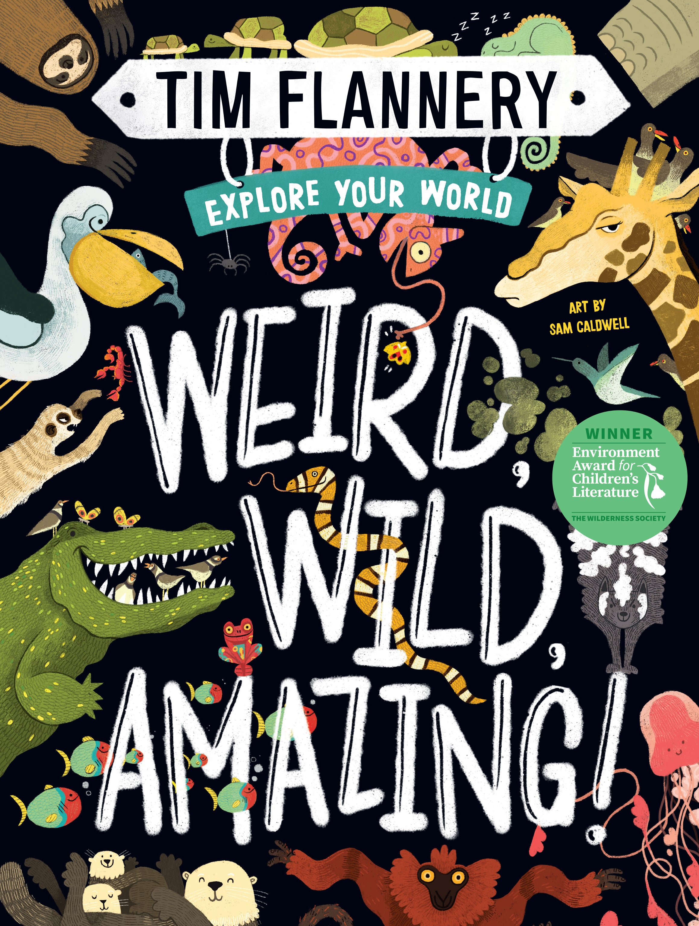 Buy Weird, Wild, Amazing! Explore Your World – The Chart & Map Shop