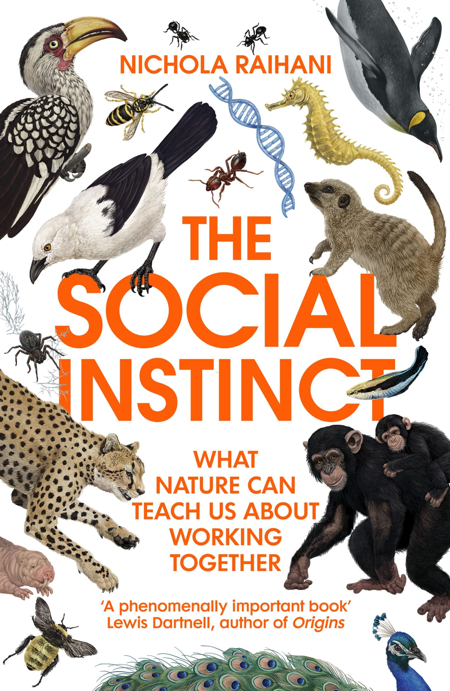 Buy The Social Instinct: What Nature Can Teach Us About Working Together –  The Chart & Map Shop