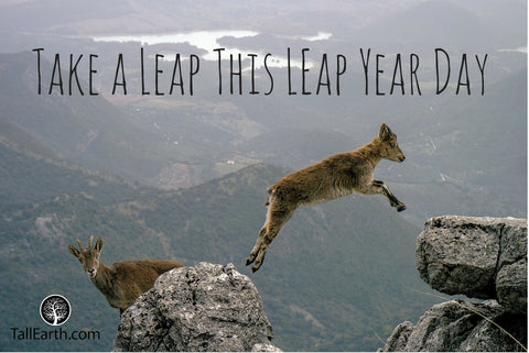 Take a leap this leap year day