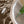 Load image into Gallery viewer, 9.85" Wood Riser