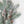 Load image into Gallery viewer, Frosted Pine Cone & Needle Bunch