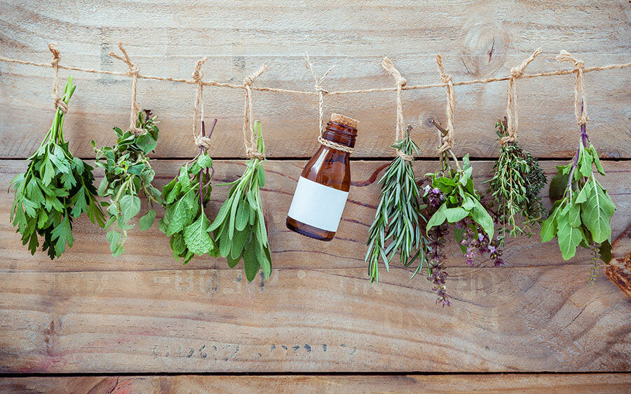 Herbs drying