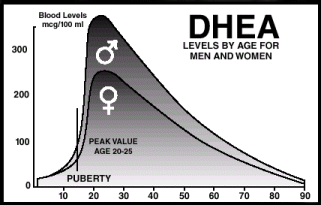 dhea levels by age chart