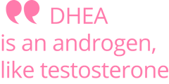 dhea